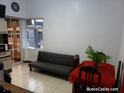 Apartamento Amueblado En Renta En Zona 17; Idi: 141248