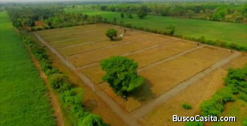 Finca Plana En San José La Floresta La Gomera Escuintla ; Idi: 132393