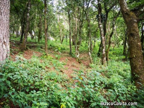 Terreno En Venta El Encinal Mixco; Idi: 120724