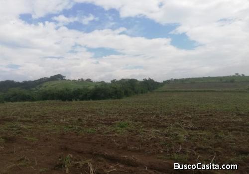 Finca En Venta En Santa Lucia Cotzumalguapa, Escuintla; Idi: 117806