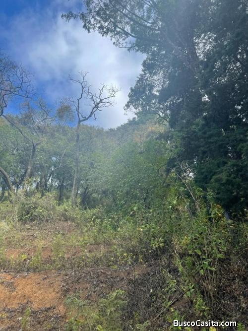 Terreno En Venta En Granja Buenos Aires; Idi: 123091