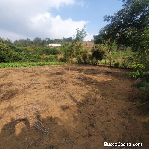 Terreno En Venta Chacaya Sacatepéquez; Idi: 117226