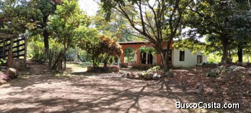 Finca En Venta Camino A Taxisco; Idi: 141323
