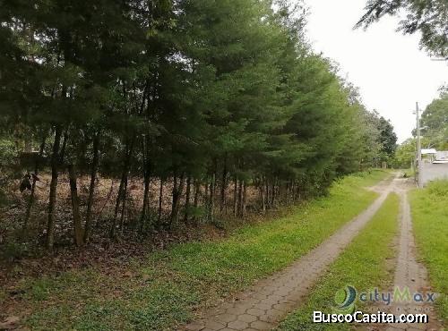 Terreno En Venta Los Horizontes Santo Domingo Xenacoj; Idi: 111137