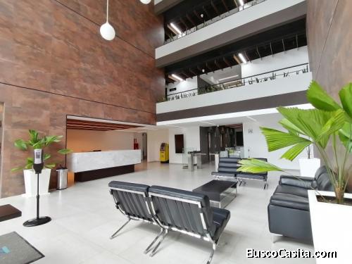 Renta De Local Comercial En La Reforma Zona 9 ; Idi: 119765