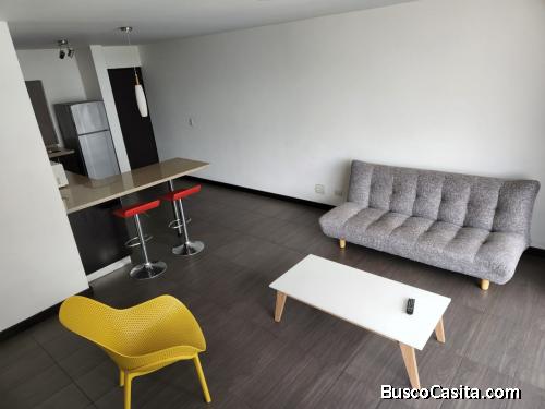 Apartamento Zona 9 Amueblado 1 Habitación  1 Parqueo; Idi: 141792