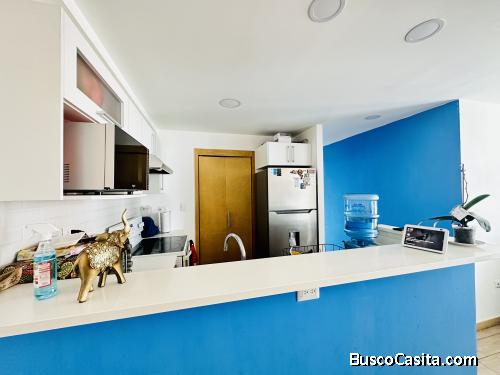 Apartamento En Renta Amoblado En Zona 10; Idi: 135420