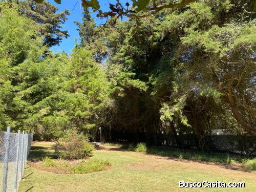 Terreno Residencial Con Excelente Ubicación En Venta; Idi: 136772