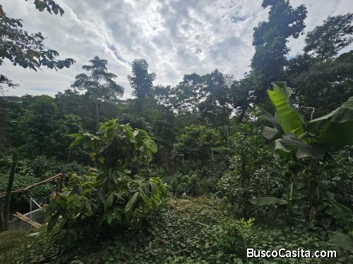 En venta terreno en Cadelaria Xolhuitz Retalhuleu