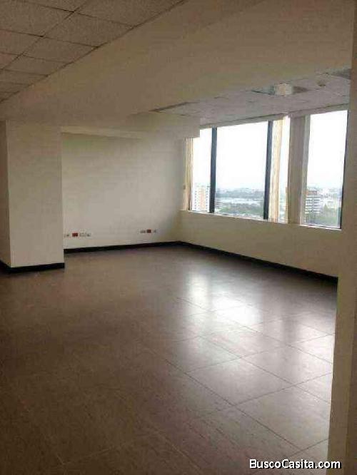 Oficina En Renta En Europlaza Zona 14; Idi: 69160