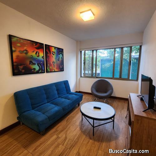 Apartamento En Renta En Zona 14; Idi: 141954