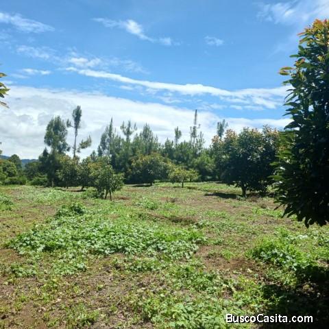 Terreno Comercial Y Residencial En Venta Santiago Sac.; Idi: 138047