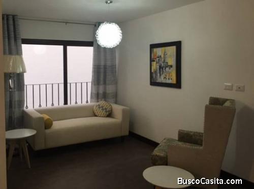 Alquiler Apartamento Tipo Estudio En Zona 15; Idi: 81693