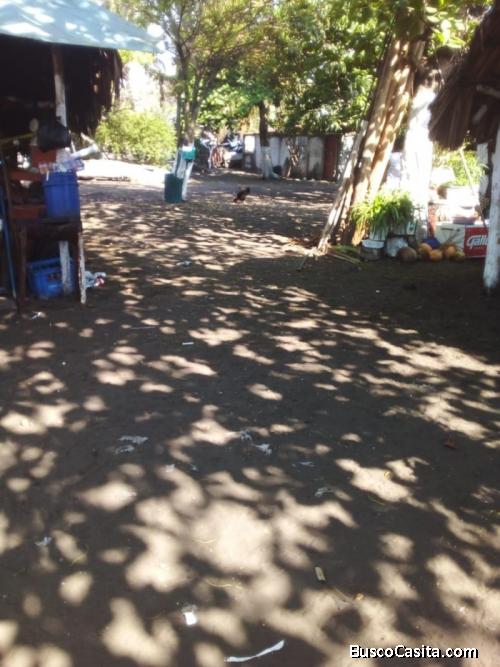 Terreno En Renta En Monterrico Con Acceso A La Playa.; Idi: 142217