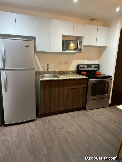 APARTAMENTO TIPO ESTUDIO EN RENTA ZONA 15