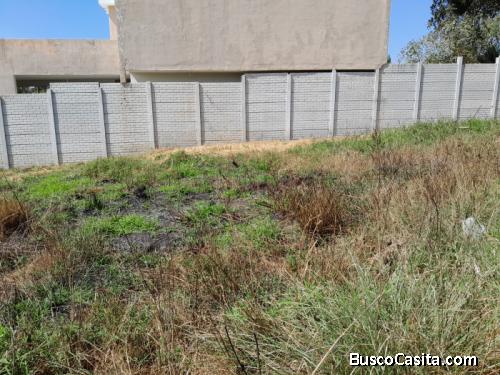 Vendo Hermoso terreno en carretera a Santa Elena Barillas