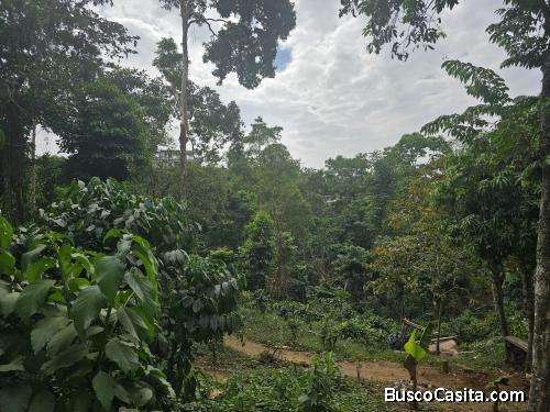 En venta terreno en Cadelaria Xolhuitz Retalhuleu