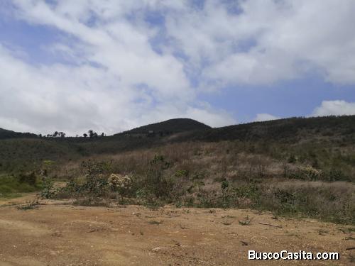 PRE VENTA LOTE INDUSTRIAL DENTRO DE GARITA ZONA 12 PETAPA