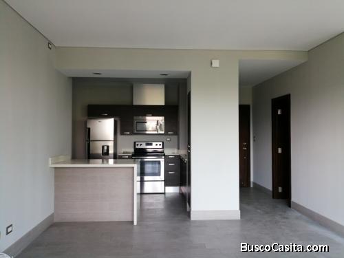 APARTAMENTO ZONA 10 TIPO ESTUDIO EN RENTA