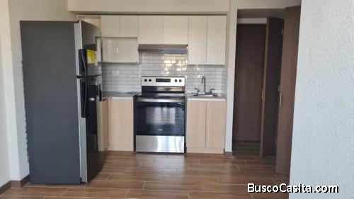 APARTAMENTO EN RENTA ZONA 17MUNDO INMOBILIARIO