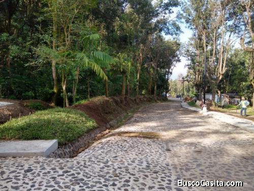 Cafetales de Santa Ana