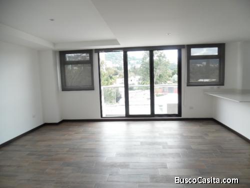 APARTAMENTO EN RENTA ZONA 15 VHII