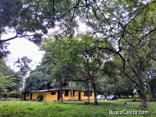 Terreno en alquiler en Masagua Escuintla