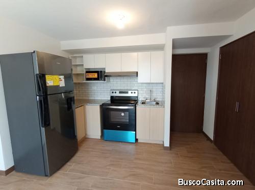 RENTO APARTAMENTO ZONA 17 SABANA ARRIBA