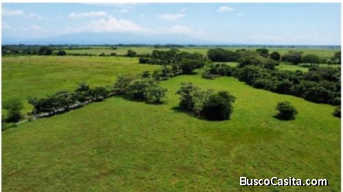 57 manzanas en venta en masagua, Escuintla