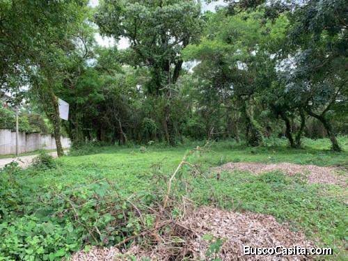 Terreno en Venta o Renta en Km 29 Carretera a El Salvador