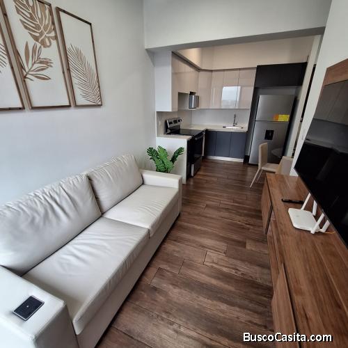 Apartamento amueblado en renta zona 10 Brunelo