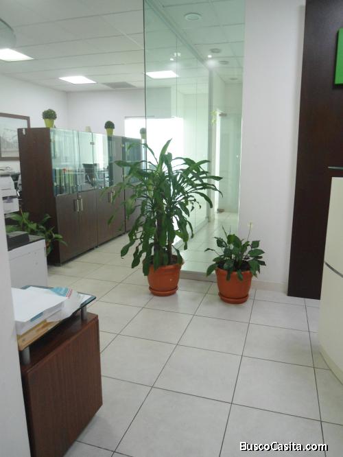 OFICINA EN RENTA ZONA 10