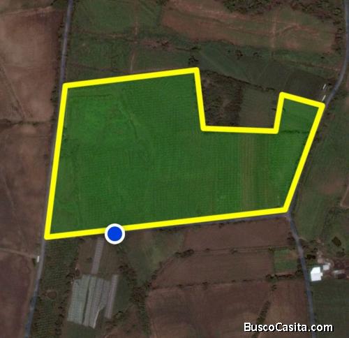 TERRENO DE 20 Mnz EN VENTA EN ESTANZUELA ZACAPA