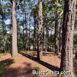 Terreno en Venta en San Pedro Ayampuc