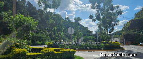 Hacienda las Flores 