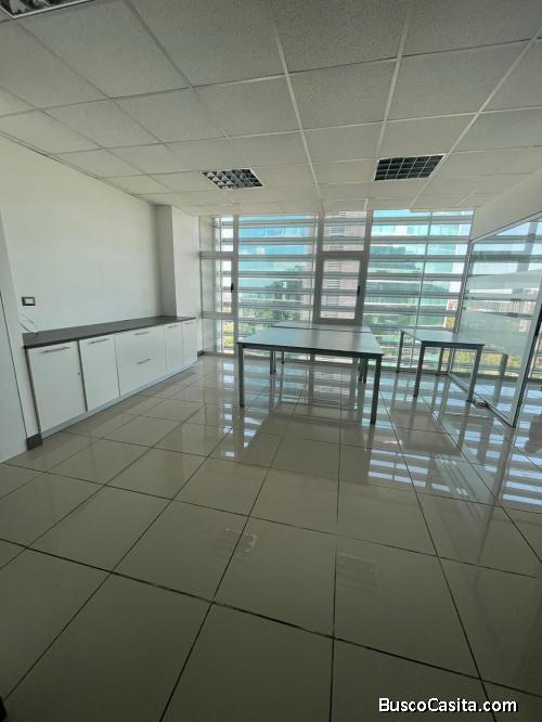 Oficina en renta zona 15  Domani