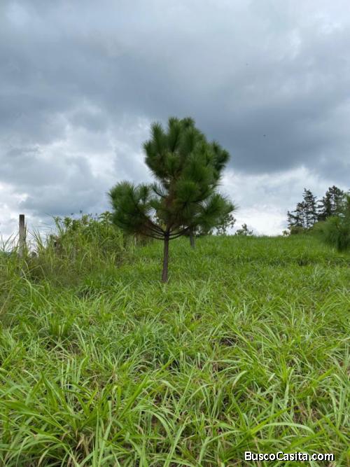 Terreno Comercial en renta en km 57, Chimaltenango