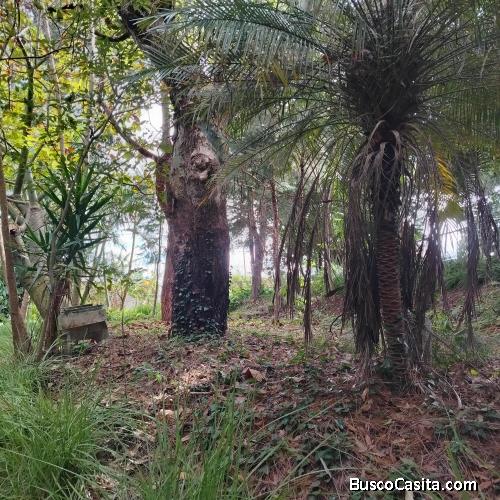 Venta Terreno Fraijanes Callejón del Mecánico