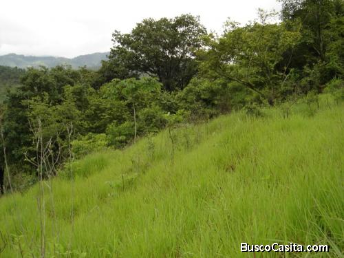 Terreno en Venta Aldea Agua Caliente El Progreso