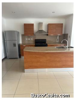 0_ARD5 APARTAMENTO EN RENTA ZONA 15