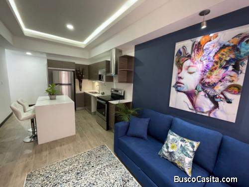 Apartamento amueblado en zona 10