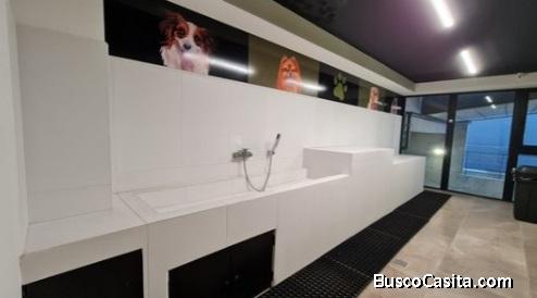 APARTAMENTO EN VENTA EN ZONA 11, EDIFICIO VIDALTA.***negociable*
