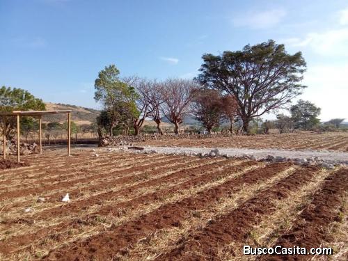 LOTIFICACION HACIENDA CAMPOO VERDE 