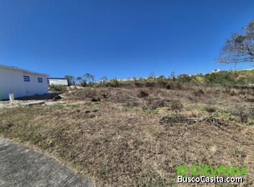 Terreno en Venta en Club de Golf Altavista