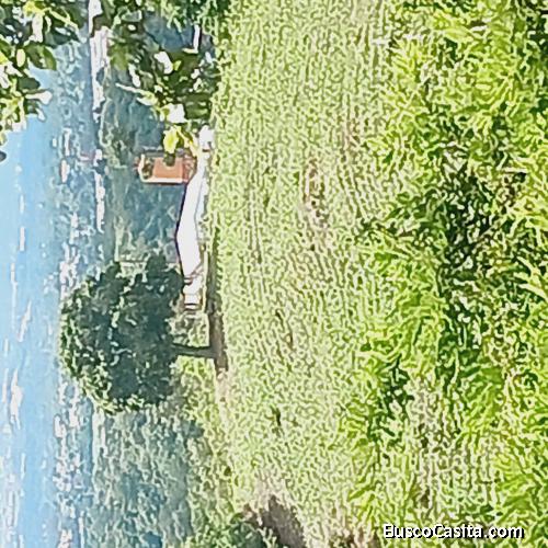 320 Manzanas en San Raymundo