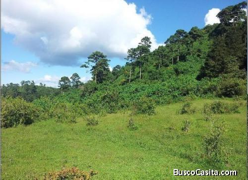 TERRENO EN VENTA EN VISTA HERMOSA IV ZONA 16 GUATEMALA