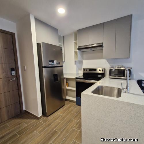 Apartamento nuevo de 1 habitación en Renta en Parque 14