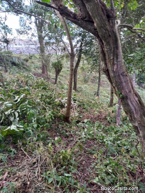Terreno en Venta en Cumbres de San Nicolas CAES