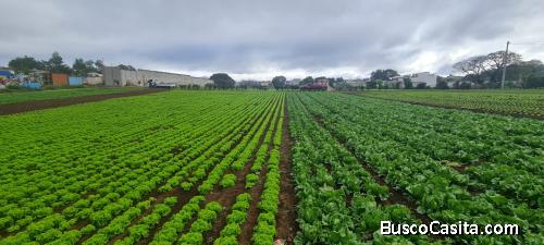 Terreno en Venta en Santo Tomas Milpas Altas Sacatepéquez