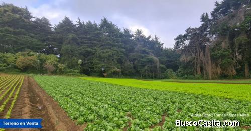 Terreno en Venta en Santo Tomas Milpas Altas, Sacatepéquez